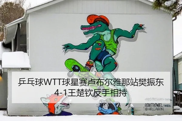 乒乓球WTT球星赛卢布尔雅那站樊振东4-1王楚钦反手相持